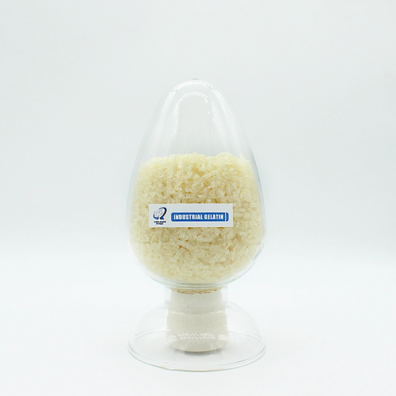 Halal Certificate for Food and Pharma Grade Bovine Beef Gelatin
