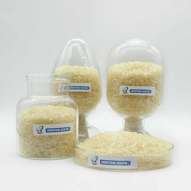 Halal Certificate for Food and Pharma Grade Bovine Beef Gelatin