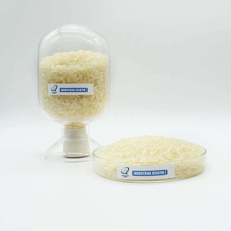 Halal Certificate for Food and Pharma Grade Bovine Beef Gelatin