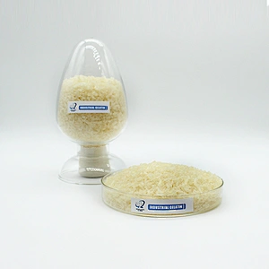 Halal Certificate for Food and Pharma Grade Bovine Beef Gelatin
